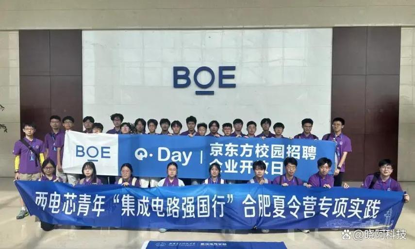 合肥新站把西安电子科大集成电路学生请进工厂,拼的早就不是项目了